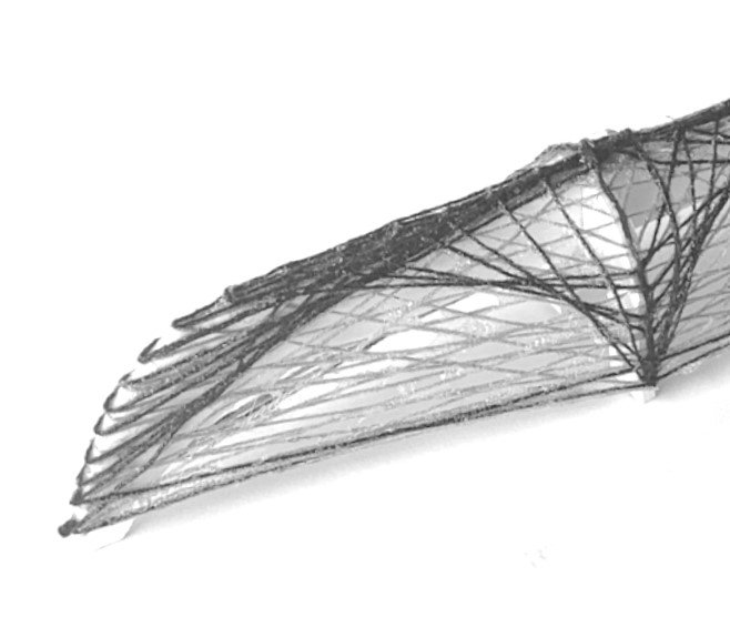 Robotic Fiber Winding